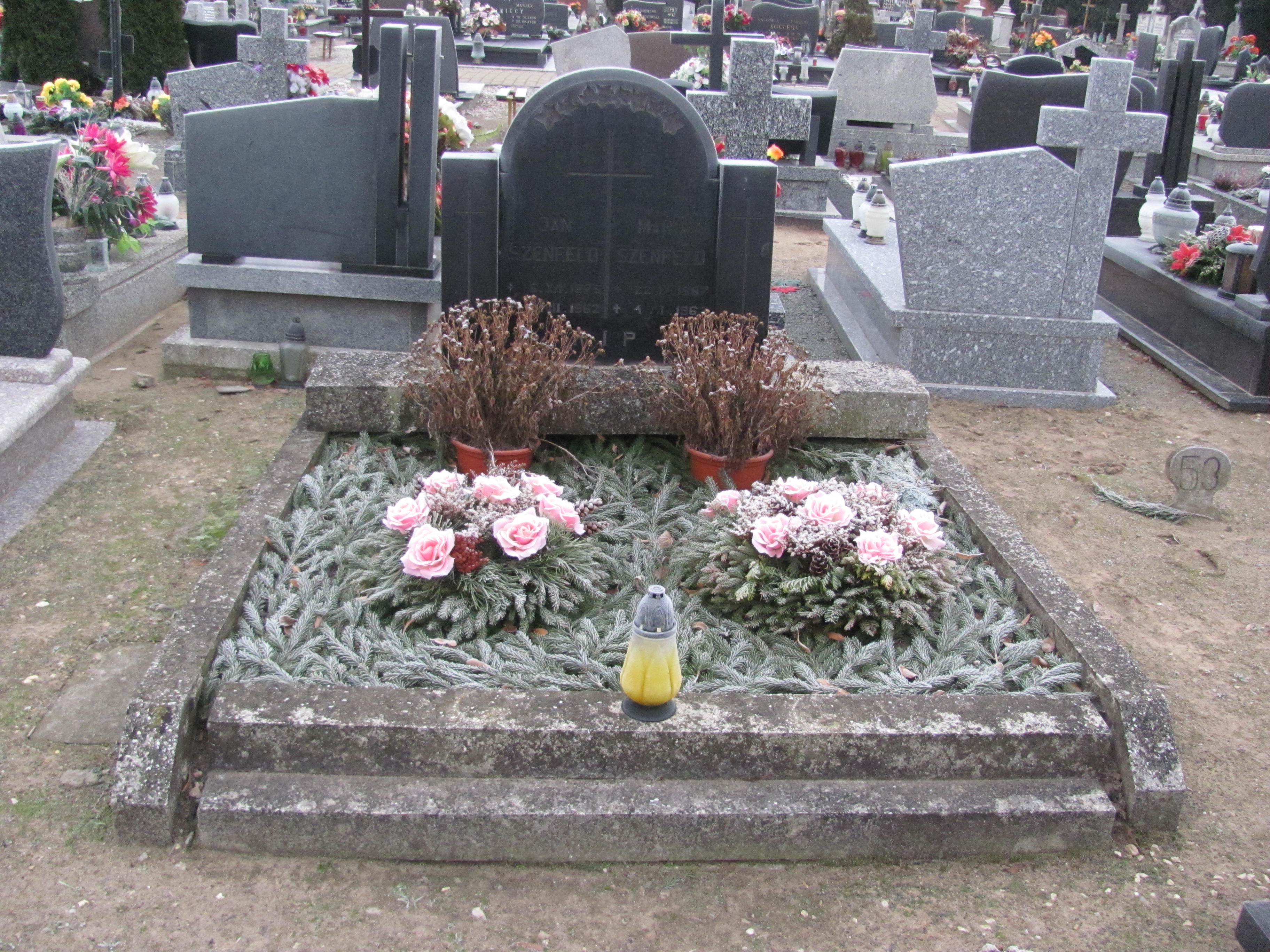 Grób Maria Szenfeld