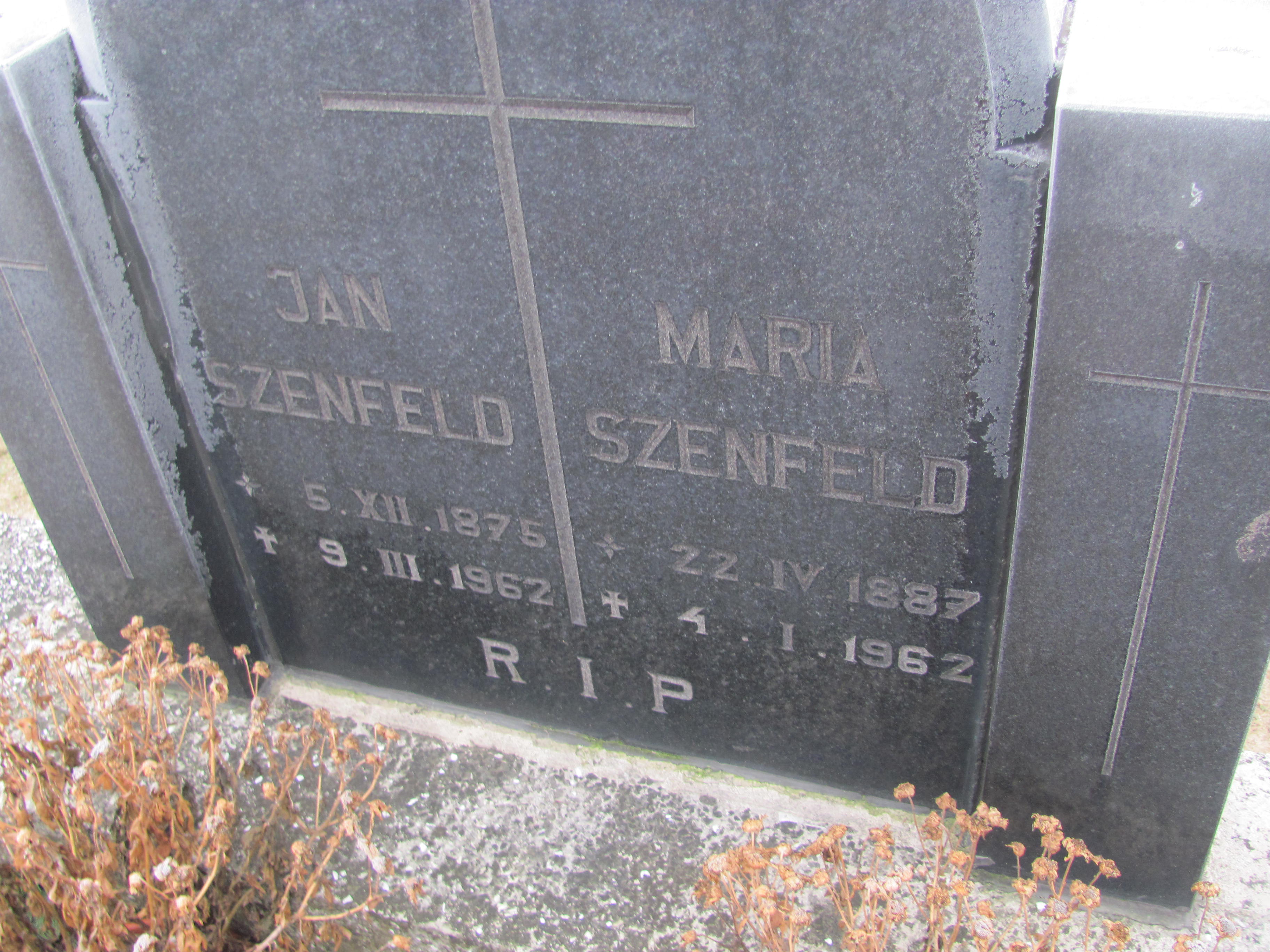 Maria Szenfeld 1887 Korfantów - Grobonet - Wyszukiwarka osób pochowanych