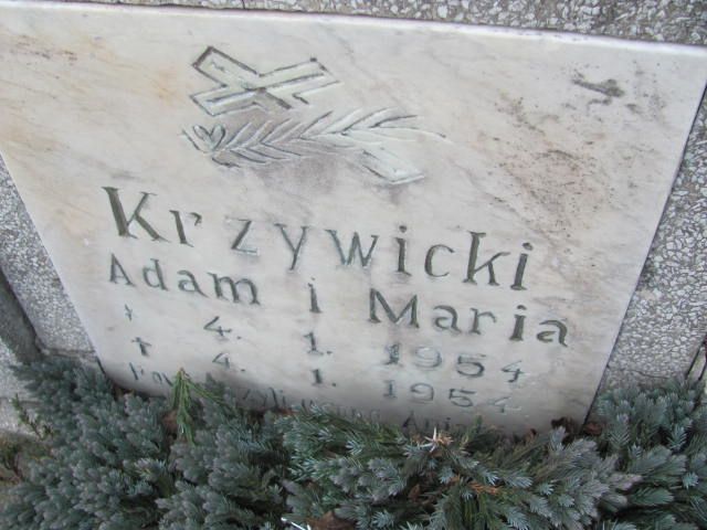 Adam Krzywicki 1954 Korfantów - Grobonet - Wyszukiwarka osób pochowanych
